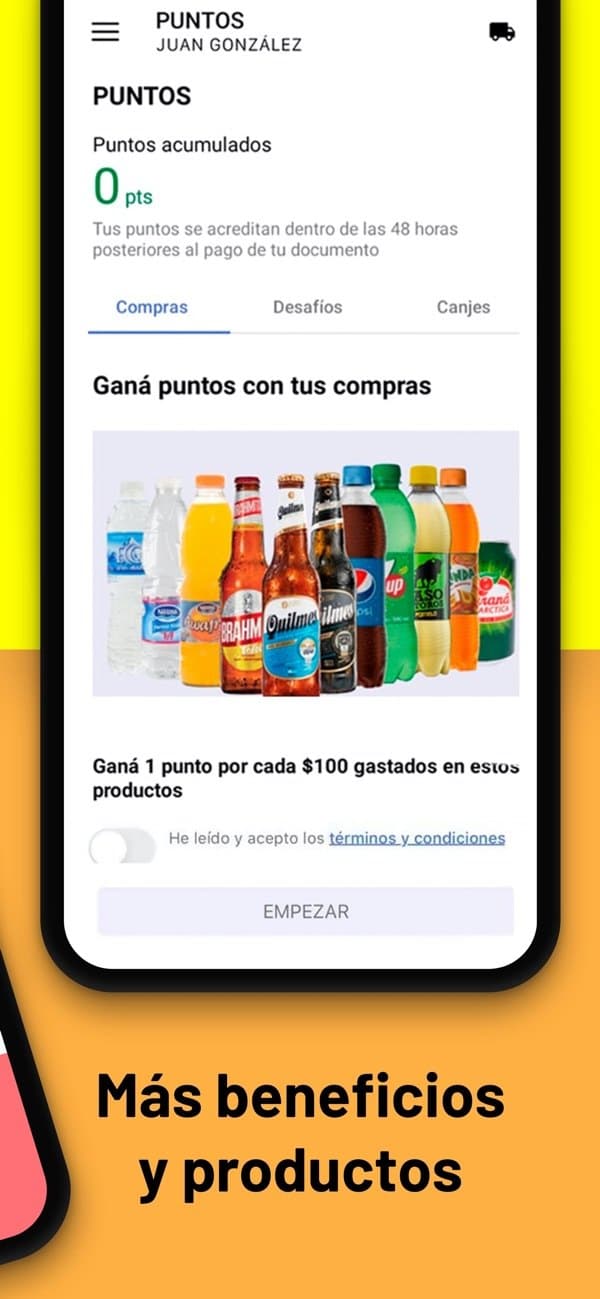 Pantalla del programa PUNTOS de BEES